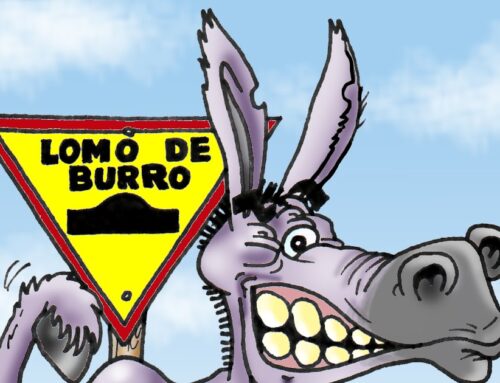 Breves locales: Oposición repudia suspensión de plan alimentario provincial // Lomos de burro // Capacitación laboral // Mes de la Lactancia