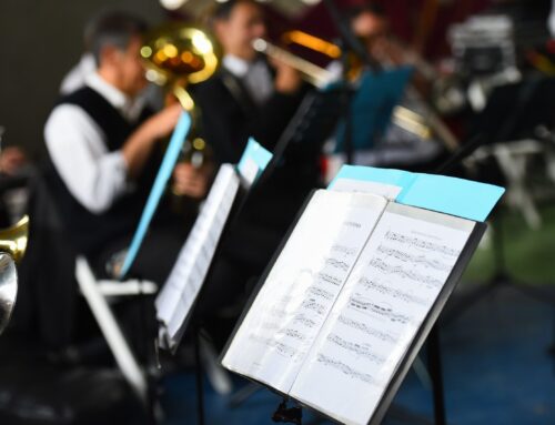 Actividades del fin de semana