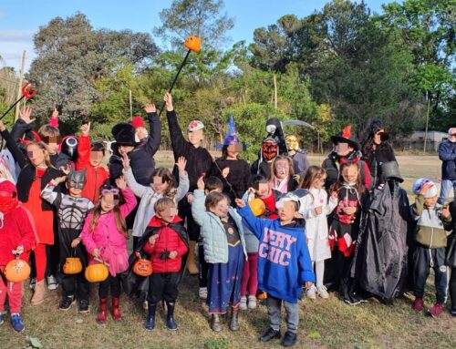 Actividades culturales y recreativas del fin de semana