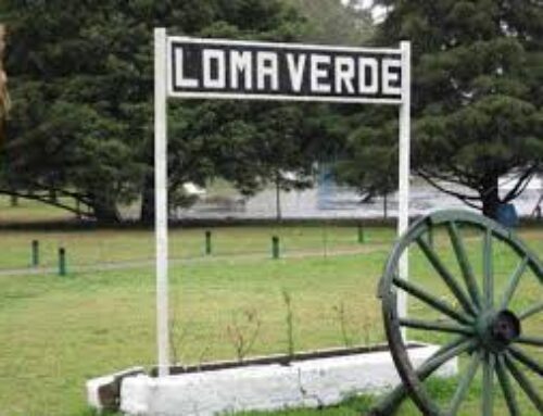 Opinan los lectores: exigen mayor presencia de Tránsito en Loma Verde