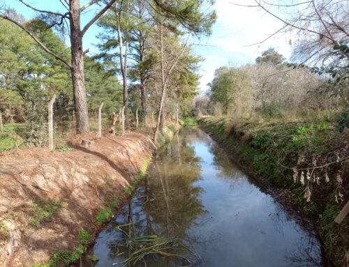 Opinan los lectores: «Escobar es un municipio para mejorar y explotar su naturaleza»