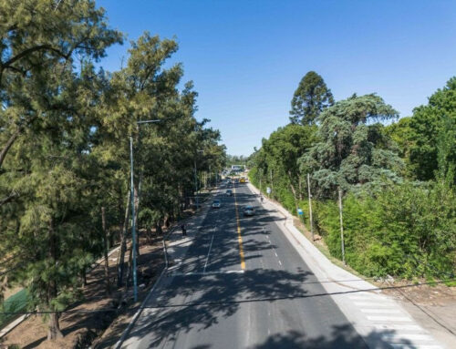 Ruta 26: cuando el orden nace de la comunidad