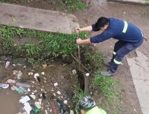 Opinan los lectores: «El municipio no hace limpieza diaria»