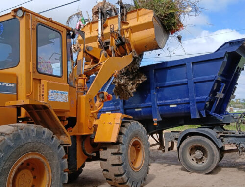 Cronograma del sistema de recolección de ramas