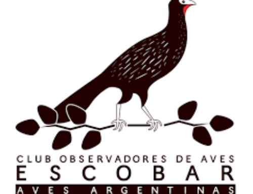 Escobar, tierra de aves: 137 especies registradas en un solo día