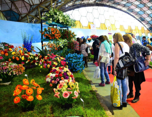 Actividades culturales y recreativas del fin de semana: Fiesta de la Flor y  Fiesta de la Primavera