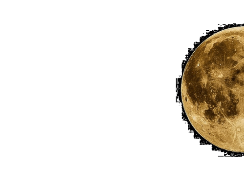 Conectar para Desconectar, ¡nuestro Rincón Literario!