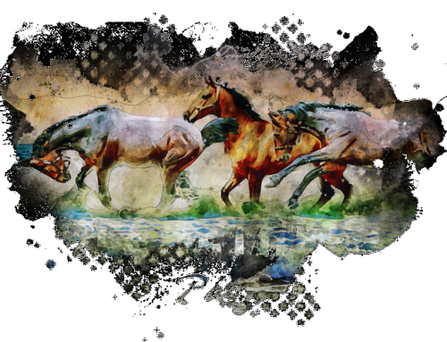 Conectar para Desconectar, ¡nuestro Rincón Literario!