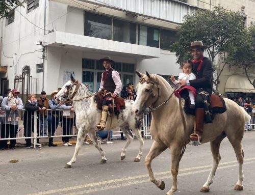 Actividades del fin de semana