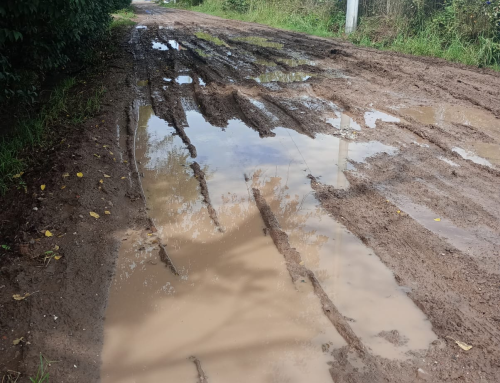 Opinan los lectores: «¿Porque no somos aplaudidores se nos castiga?»