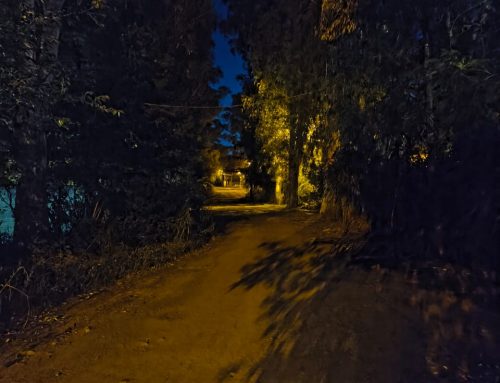 Opinan los lectores: «¿Qué recursos asigna el Municipio a cada barrio?» 