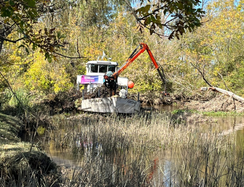 Breves locales: Liberan el río Luján / Penguin Dragon Boat compite a nivel internacional / Charla sobre Cromañón