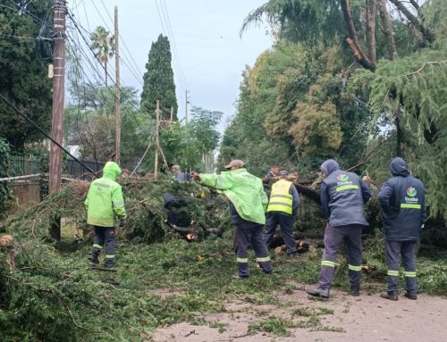 Escobar, golpeado por un temporal histórico: vientos de hasta 90 km/h derribaron árboles y postes, dañaron viviendas y dejaron escenas dramáticas; rápida respuesta municipal y de Edenor