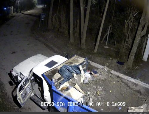 Lo filmaron arrojando basura en la vía pública: lo multaron, secuestraron el camión y clausuraron un predio