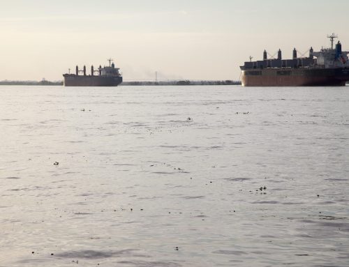 Ambientalistas de Escobar advierten riesgos ecológicos en la nueva licitación de la Hidrovía