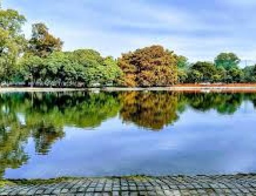 «Fábrica de Ideas»: entre las propuestas aparecen una plaza reciclada y un bosque con lago artificial