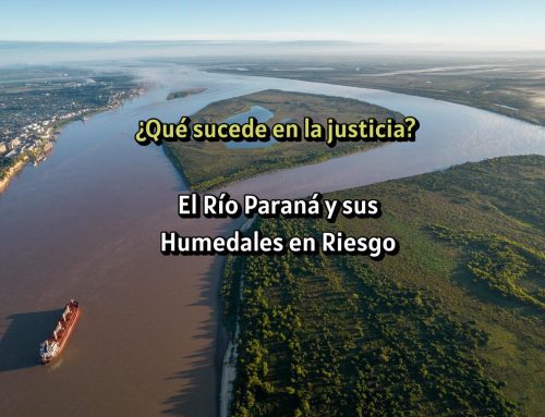 Alertan sobre amenazas al Paraná por la licitación de la hidrovía