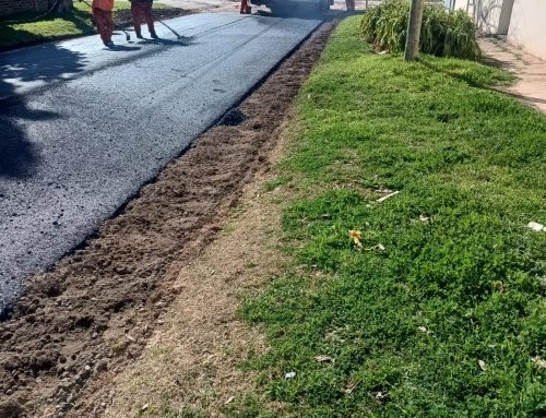 Opinan los lectores: «‘Pavimentaron’ es una forma de decir»