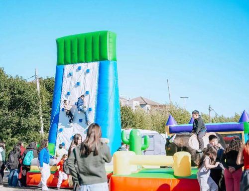 Actividades del fin de semana