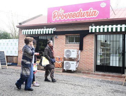 Opinan los lectores: «Ojalá esos 82 palitos destinados a la Proveeduría sirvan para algo al vecino»